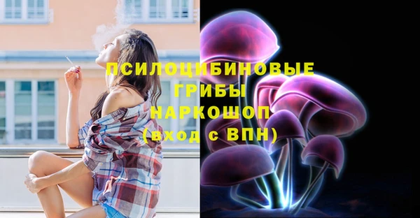 бошки Алзамай