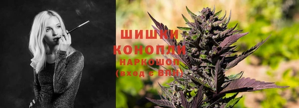бошки Алзамай