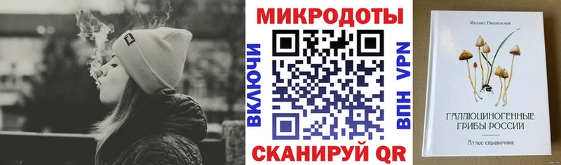 закладка  Астрахань  Галлюциногенные грибы Psilocybe 