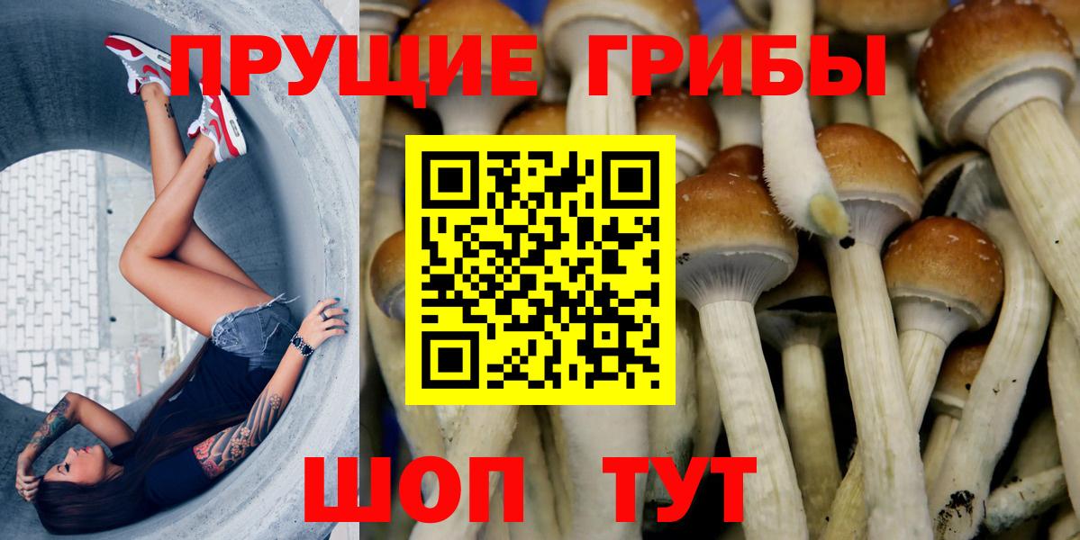 наркота  Галлюциногенные грибы MAGIC MUSHROOMS  Вход с VPN  Псилоцибиновые грибы Psilocybe  Астрахань 