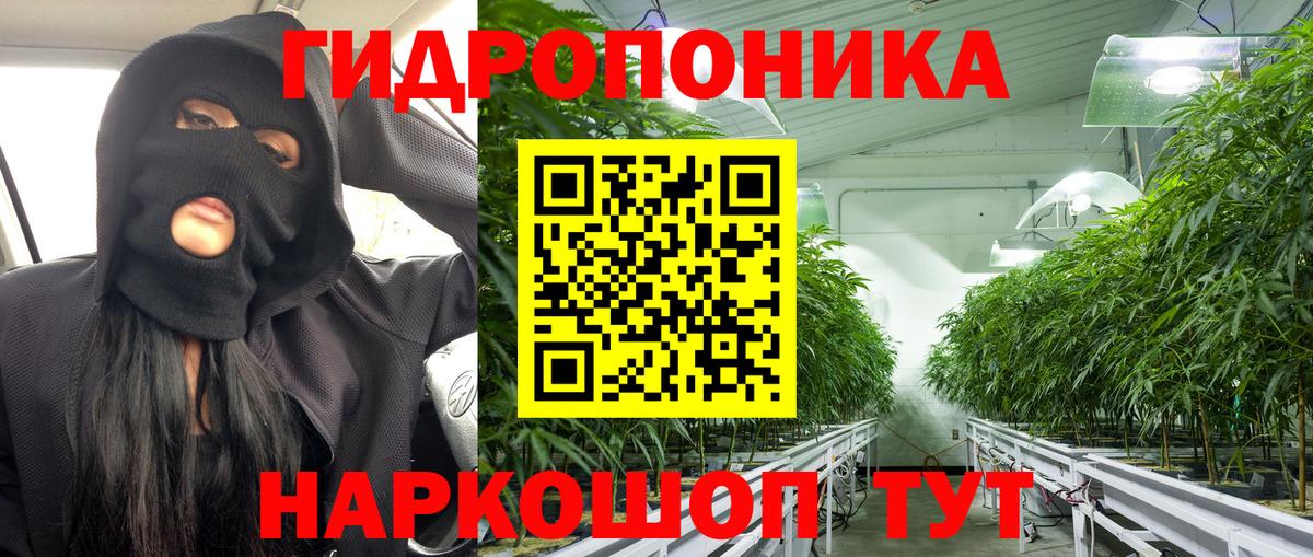 Бошки Шишки марихуана  Шишки марихуана MAZAR  Астрахань  Канабис сатива  Шишки марихуана VHQ  Вход с VPN 